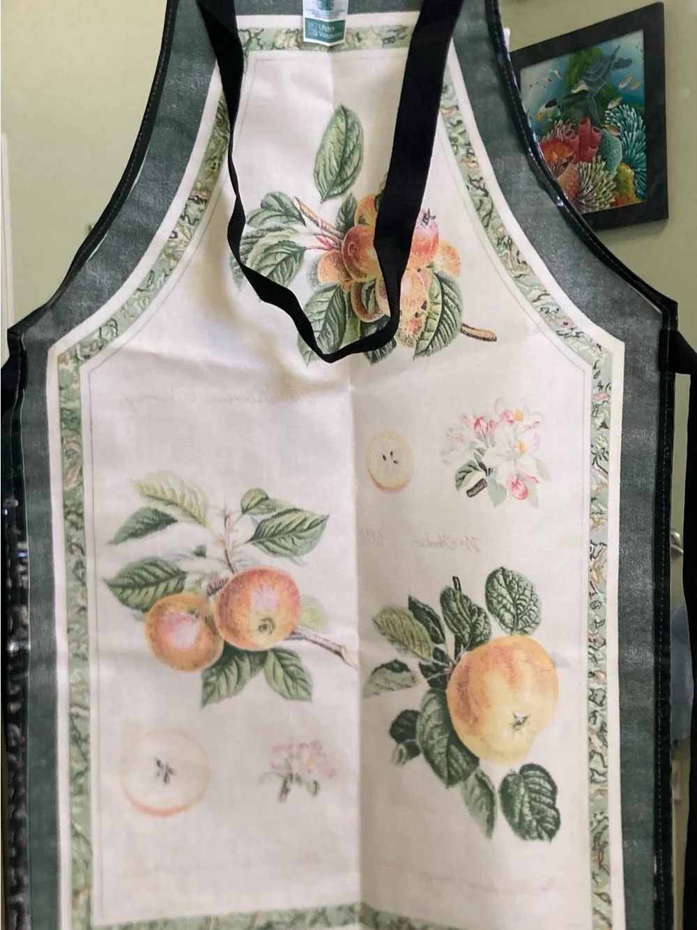Botanical Fruit Apron. green & Cream - Classic Kitchen Linen. PVC coated cotton